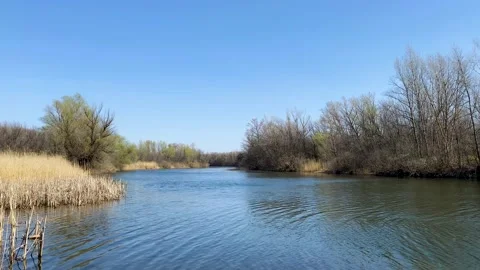 Early spring landscape on a small river Stock Footage 225325211