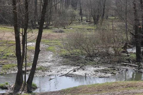 Early spring landscape with a small wild river, bare trees, reflections in .. Stock Photos