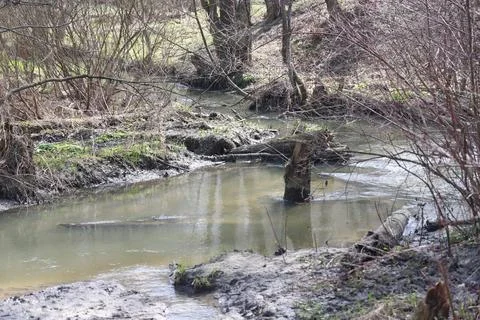Early spring landscape with a small wild river, bare trees, reflections in th Stock Photos