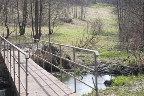 Early spring landscape with a small wild river, bare trees, reflections in .. Stock Photos