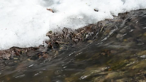 Early spring landscape of the snow in the forest. Stock Footage 88990258