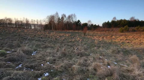 Early spring landscape with withered grass at sunset Stock Footage 58651148
