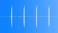 Early Spring Marshland Morning Bird Song, North America Sound Effect
