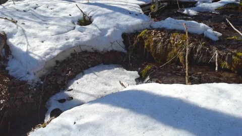 Early Spring melt Stock Footage