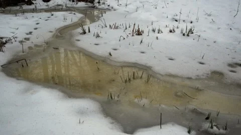 Early spring melting snow Video stock 151768871
