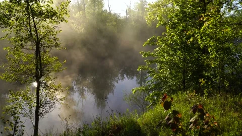 Early spring. Morning dawn over the lake in a misty, thoughtful haze. Stock Footage 141137511