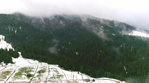 Early spring in mountain with forever green tree Stock Footage 282251626