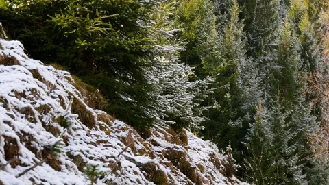 Early spring in the mountains. Stock Footage 74625234