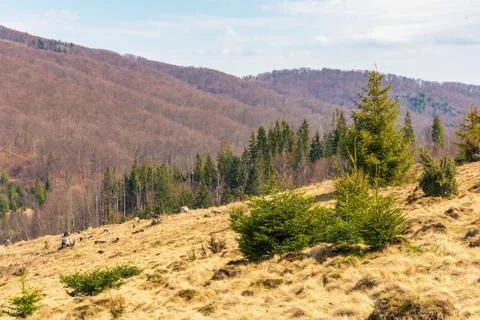Early spring in mountains Stock Photos