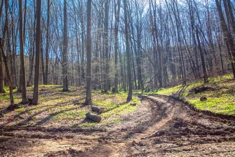 Early spring nature Stock Photos