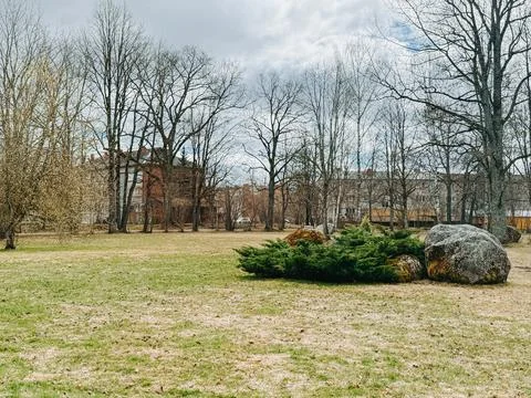 Early Spring Park Landscape with Bare Trees and Residential Buildings Photos