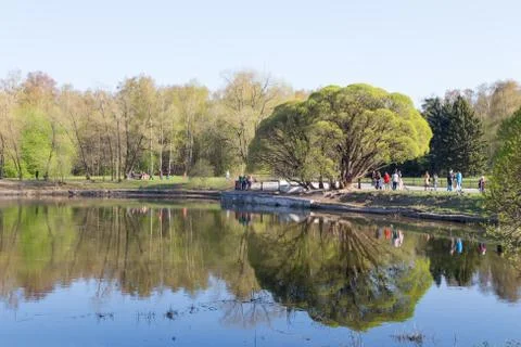 Early spring in park Stock Photos