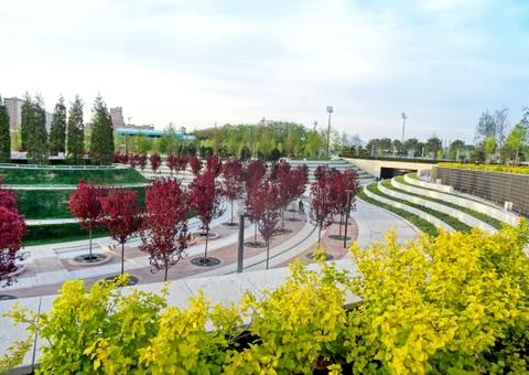 Early spring park. Stock Photos