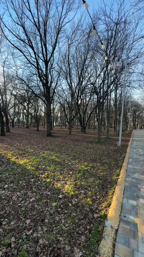 Early spring park. Sunset in the city Park. Stock Footage 260530694