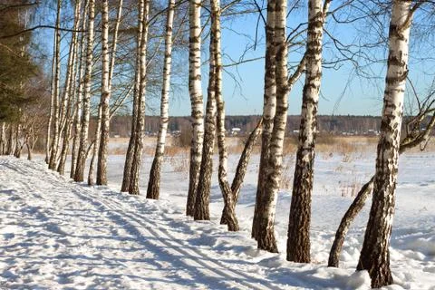Early spring Stock Photos