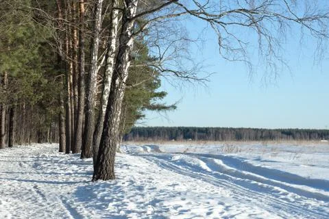 Early spring Stock Photos