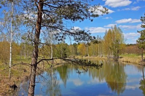 Early spring Stock Photos