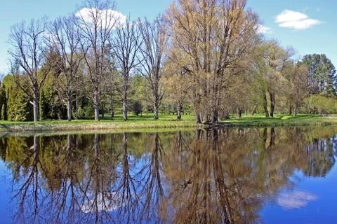 Early spring Stock Photos