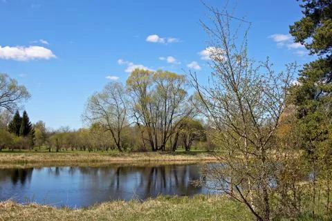 Early spring Stock Photos