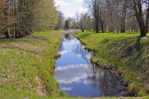 Early spring Stock Photos