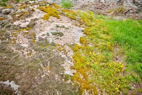 Early spring 스톡 사진