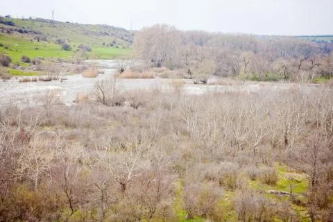 Early spring 스톡 사진