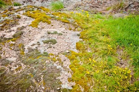 Early spring Foto stock