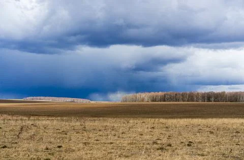 Early spring. 库存照片