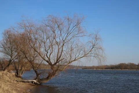 Early spring in Poland Fotos Stock