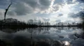 Early spring pond water surface view HD Footage