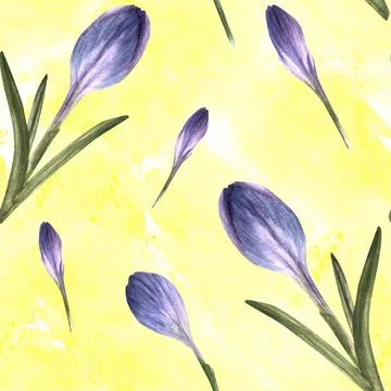 Early spring primary flowers seamless pattern, crocuses, saffron. Watercolor Stock Illustration