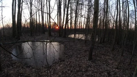 Early spring puddles in  forest and sunrise, time lapse Stock Footage 293910394
