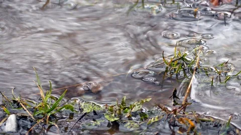 Early spring rain 4k footage,  rotten apples in the background. Stock Footage 87082273