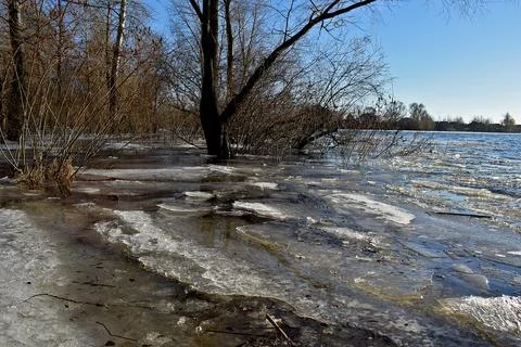 Early spring. A river breaking free from ice. Flood. Stock Photos