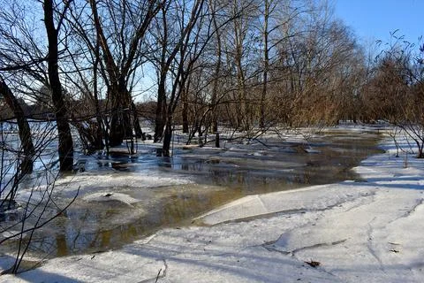 Early spring. A river breaking free from ice. Flood. Foto stock