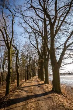Early spring scene of path on dam of the fishpond Stock Photos