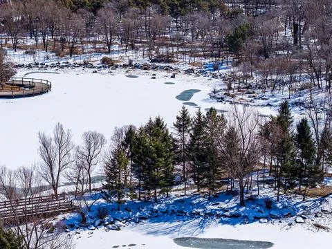 Early Spring Snow Stock-Fotos