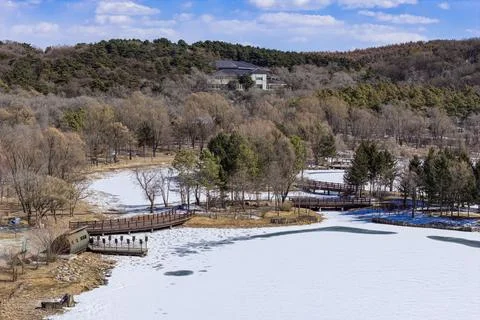 Early Spring Snow Foto stock
