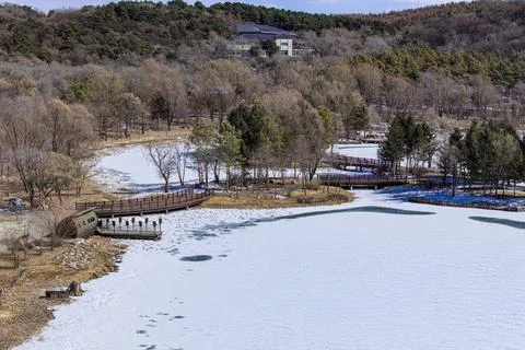 Early Spring Snow Stock-Fotos