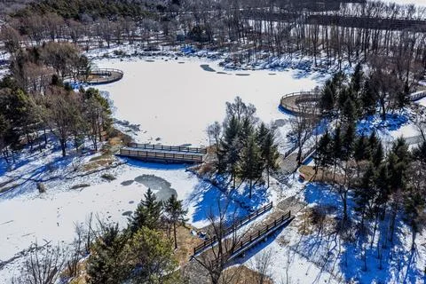 Early Spring Snow Stock Photos