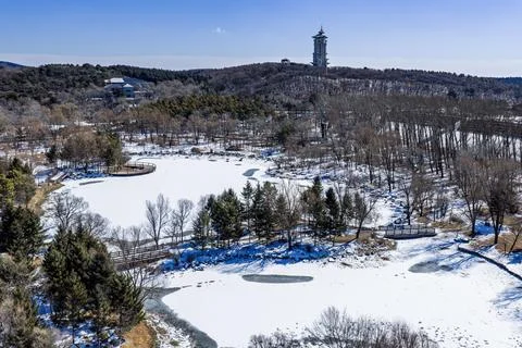 Early Spring Snow Stock Photos
