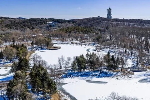 Early Spring Snow 库存照片