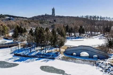 Early Spring Snow Stock Photos