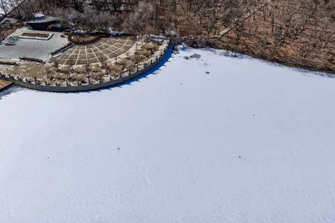 Early Spring Snow 库存照片