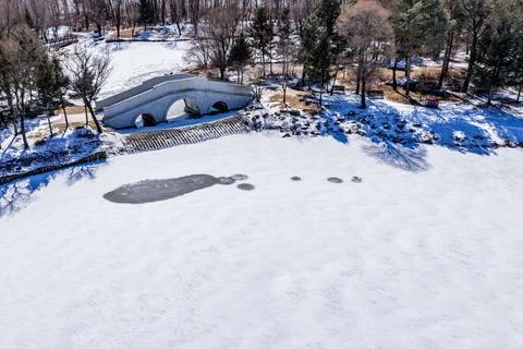 Early Spring Snow Stock Photos