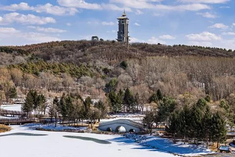 Early Spring Snow Stock Photos
