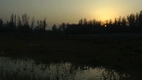 Early spring sunset on a drained lake Vídeo Stock 128547891