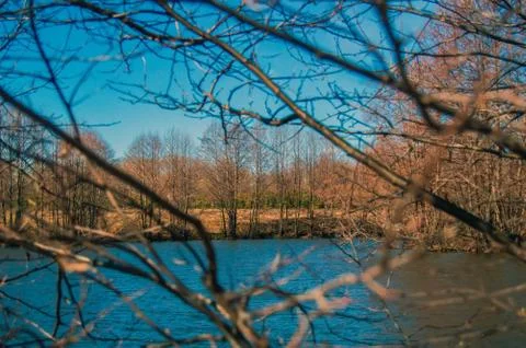 Early spring through the branches of trees by the lake and blue sky Stock Photos