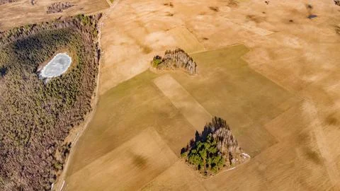 Early spring view from above, with fields, forests Foto stock