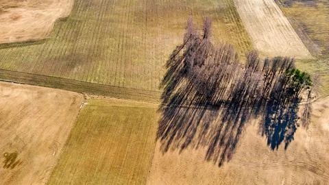 Early spring view from above, with fields, forests Foto stock